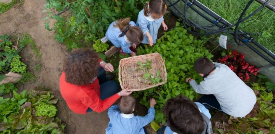 "Orto in condotta" al plesso Rodari di Caltanissetta, il progetto ha festeggiato i suoi primi 15 anni - SeguoNews