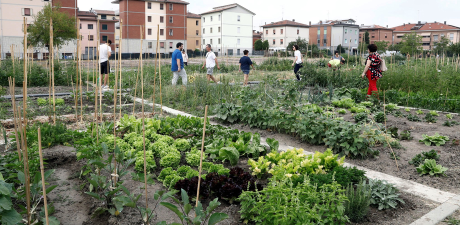 Leandro Janni Italia Nostra A Caltanissetta Gli Orti Urbani Per Incentivare L Amore Per La Natura Seguo News