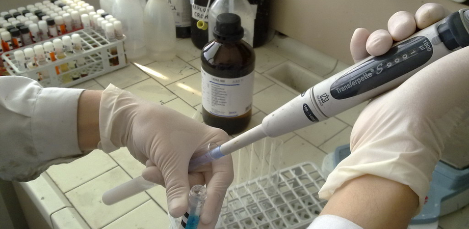 Coronavirus, in Sicilia primi casi di variante brasiliana: per gli esperti resiste agli anticorpi