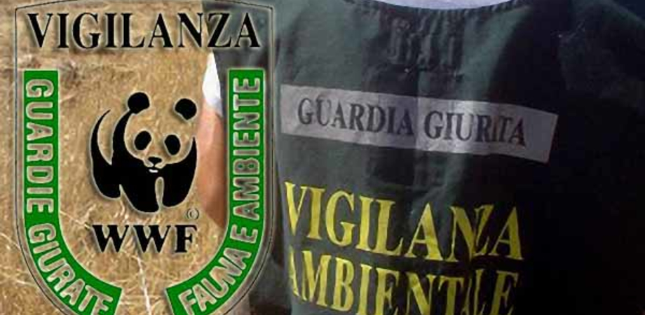 Caltanissetta, guardie volontarie aggredite da cacciatori: Wwf ammesso come parte civile