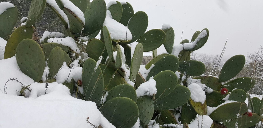 Maltempo: in Sicilia pioggia e freddo, neve anche a bassa quota nel week end
