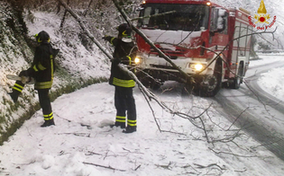 https://www.seguonews.it/caltanissetta-neve-maltempo-decine-gli-interventi-dei-vigili-del-fuoco-citta-provincia