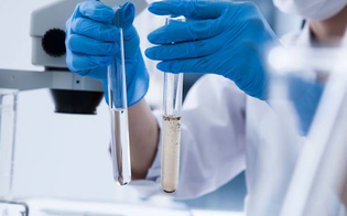 https://www.seguonews.it/cina-identificato-un-nuovo-virus-di-origine-animale-contagiate-35-persone