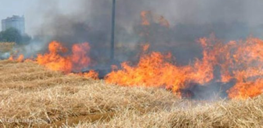 Agricoltore cerca di spegnere fiamme ma rimane schiacciato dal suo trattore