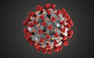 https://www.seguonews.it/coronavirus-nuova-mutazione-in-norvegia-a-trasmissione-rapida-rende-il-virus-piu-contagioso