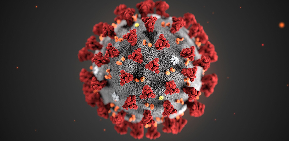 Coronavirus, c'è chi vive con un positivo ma non viene contagiato: gli esperti studiano i casi dei "resistenti"