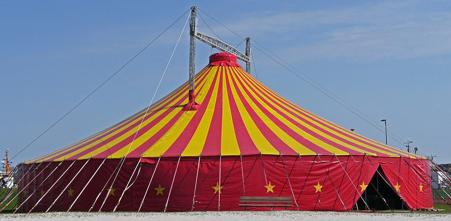 Caltanissetta, il responsabile del circo: "Gli spettacoli si faranno con posti limitati"