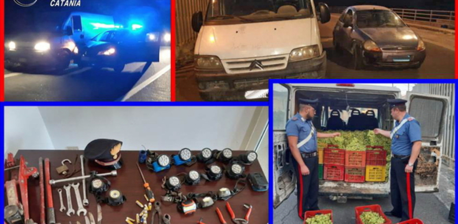 Fuga in auto con 3 tonnellate d'uva rubata: inseguite e arrestate 6 persone nel catanese