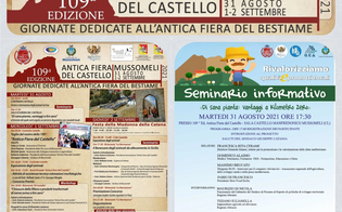 https://www.seguonews.it/mussomeli-al-via-lantica-fiera-del-castello-tra-bestiame-e-prodotti-tipici-del-territorio