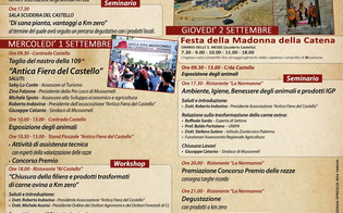 https://www.seguonews.it/torna-a-mussomeli-lantica-fiera-del-castello-e-una-delle-piu-antiche-manifestazioni-dedicate-al-bestiame