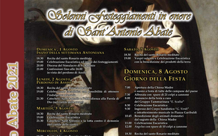 https://www.seguonews.it/milena-celebra-la-festa-di-santantonio-abate-appuntamento-tra-fede-e-folclore