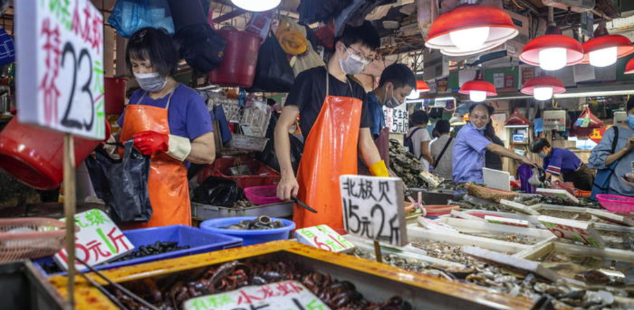 Covid, identificata la paziente zero: è una donna che vendeva pesce al mercato di Wuhan