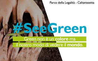 https://www.seguonews.it/caltanissetta-salvaguardia-dellambiente-al-parco-della-legalita-verranno-piantati-tre-nuovi-alberi-