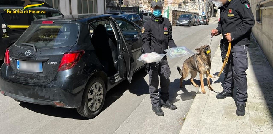 Aveva occultato 2,4 kg di cocaina nella portiera dell'auto, ma il cane dei finanzieri la trova: arrestato