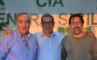 https://www.seguonews.it/cia-centro-siciia-a-caltanissetta-lviii-assemblea-elettiva-per-eleggere-il-nuovo-presidente