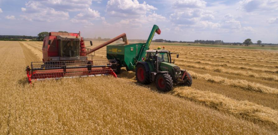 Agricoltura, Scilla: "Dal PSR Sicilia tre bandi per 120 milioni destinati ad agricoltori e allevatori"