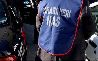 https://www.seguonews.it/centinaia-di-chilogrammi-di-prodotti-alimentari-sequestrati-dai-nas-in-diverse-parti-della-sicilia