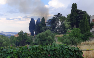 https://www.seguonews.it/san-cataldo-albero-colpito-da-un-fulmine-prende-fuoco
