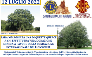https://www.seguonews.it/caltanissetta-i-lions-offrono-un-alberello-di-quercia-a-chi-effettua-versamento-a-favore-della-fondazione
