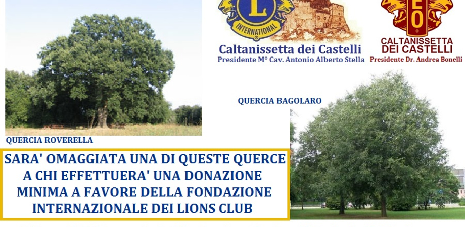 Caltanissetta, i Lions offrono un alberello di quercia a chi effettua versamento a favore della Fondazione