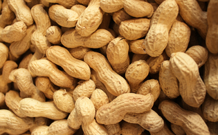 Le arachidi possono aiutare a perdere peso e abbassare la pressione sanguigna? Studio dice di sì
