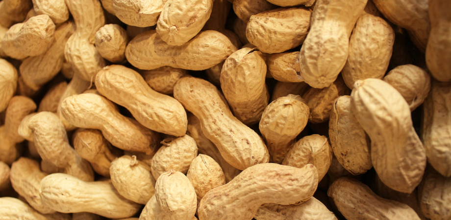 Le arachidi possono aiutare a perdere peso e abbassare la pressione sanguigna? Studio dice di sì