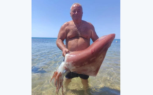 https://www.seguonews.it/a-selinunte-calamaro-gigante-pescato-a-mani-nude