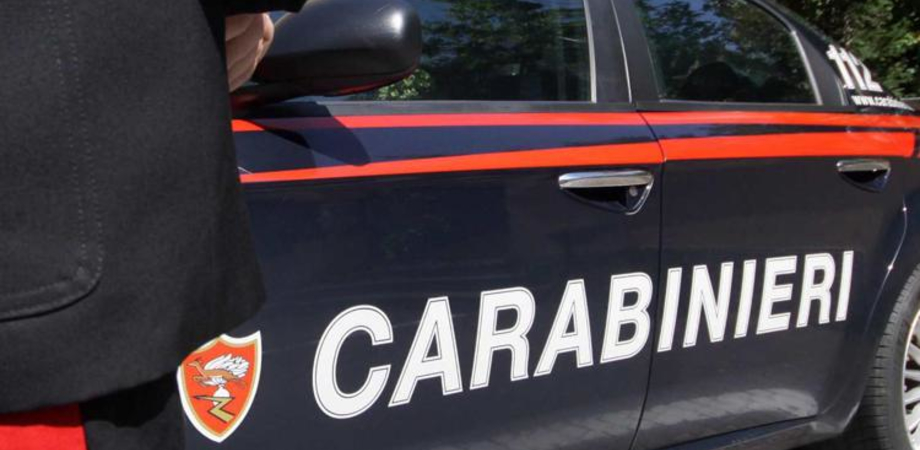 Gela, spara ai due cani Corso della ex e poi tenta di colpire la cugina: 22enne arrestato dai carabinieri