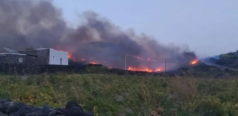 Incendio a Pantelleria, in fuga i turisti. Evacuate le ville dei vip
