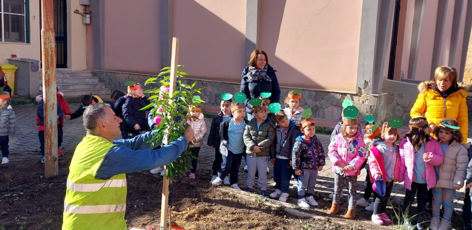Caltanissetta, gli alunni della scuola "Santa Petronilla" piantano alberelli di cui si prenderanno cura
